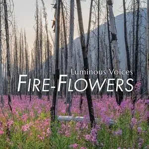 Luminous Voices & Timothy Shantz - Fire-Flowers (2023)