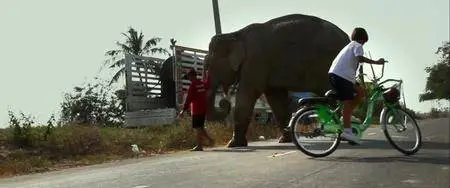 When Elephants Were Young (2016)