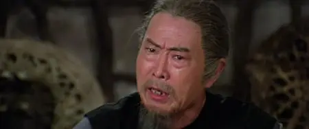 Nan Shao Lin yu bei Shao Lin (1978)