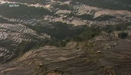 (Arte) La Chine des rizières célestes (2011)