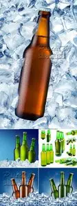Stock Photo - Cold Beer