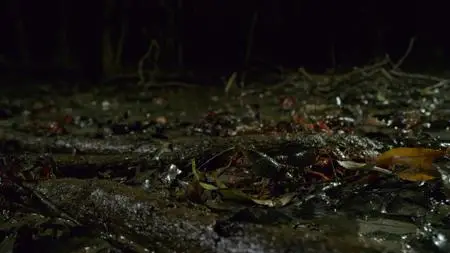 Dead by Dawn S01E04