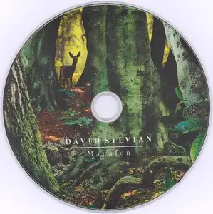 David Sylvian - Manafon (2009) [CD+DVD] {Samadhisound Deluxe Edition + Japan SHM-CD Edition} [combined re-up]