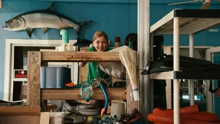 Dolphin Tale / Mein Freund, der Delfin (2011)