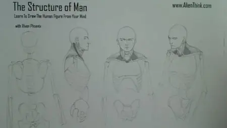 The Structure of Man HD [repost]