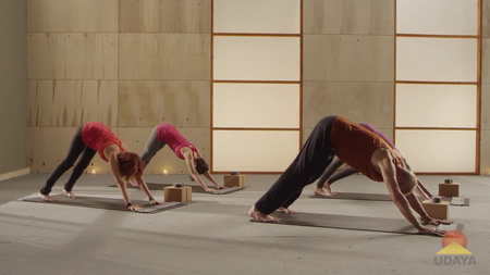 Marisa Weppner Yoga - All Levels Flow (2016)