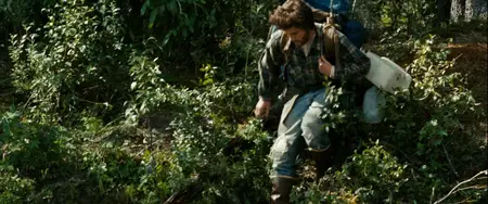 Into the Wild (2007)