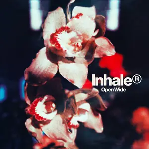 Inhaler - Open Wide (2025) [Official Digital Download]