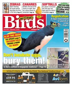 Cage & Aviary Birds - 25 September 2024