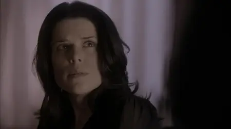 An Amish Murder (2013)