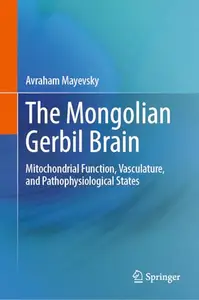 The Mongolian Gerbil Brain: Mitochondrial Function, Vasculature, and Pathophysiological States