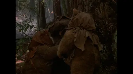 Caravan of Courage: An Ewok Adventure (1984)