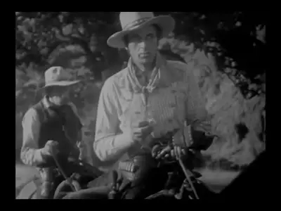 The Virginian (1929)