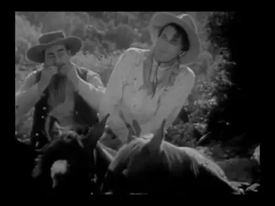 The Virginian (1929)