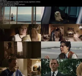 Flashbacks Of A Fool (2008)