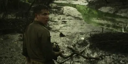 Canopy (2013)