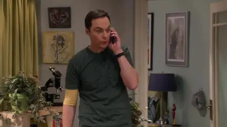 The Big Bang Theory S11E13