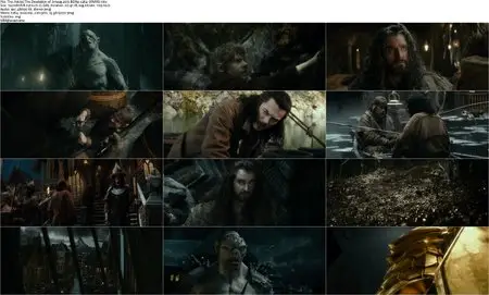 The Hobbit: The Desolation of Smaug (2013)