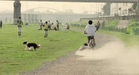 Happy Together: All About My Dog (2011)