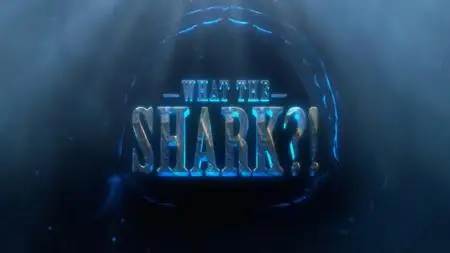 NG. - What the Shark? (2020)