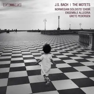 Grete Pedersen, Norwegian Soloists' Choir, Ensemble Allegria - Johann Sebastian Bach: The Motets (2017)