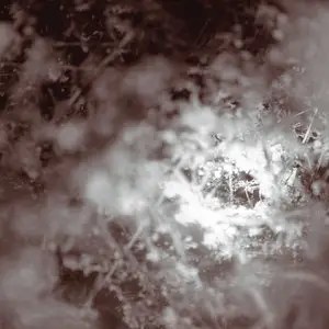 Mike Weis - Don't Know, Just Walk (2014)