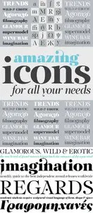 PF Regal Display Pro Font Family