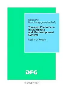 Transient Phenomena in Multiphase and Multicomponent Systems: Research Report