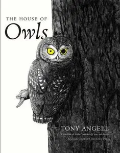 The House of Owls