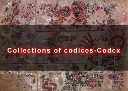 Collections of codices-Codex. 14 Codices