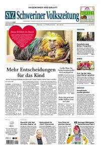 Schweriner Volkszeitung Hagenower Kreisblatt - 14. Februar 2020