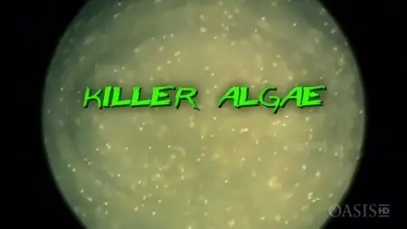 Arte - Killer Algae (2009)