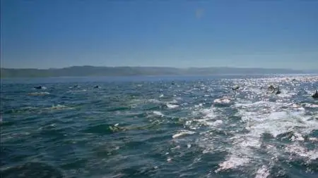 Journey with Dylan Dreyer S02E13