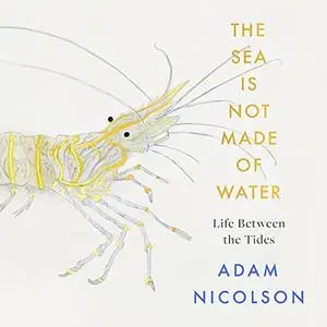 The Sea is Not Made of Water: Life Between the Tides [Audiobook]