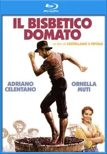 Il Bisbetico Domato / Укрощение строптивого (1980)