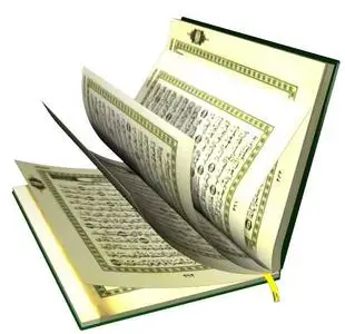 Quran Search Tools