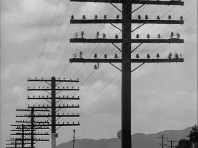 Chicago Calling (1951)