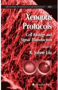 Xenopus Protocols: Cell Biology and Signal Transduction