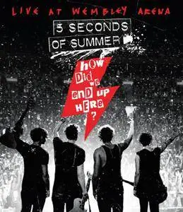 5 Seconds of Summer - How Did We End Up Here? - Live at Wembley Arena (2015) [BDRip 1080p]