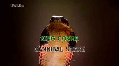 King Cobra: Cannibal Snake (2020)