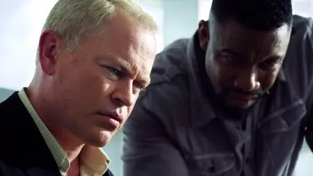 Falcon Rising (2014)