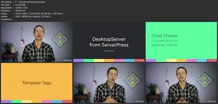 Complete Wordpress Theme & Plugin Development Course