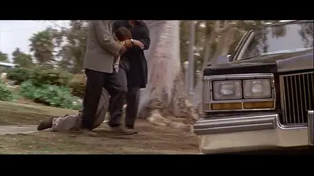The Last Boy Scout (1991)