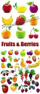 Glossy Fruits & Berries Vector