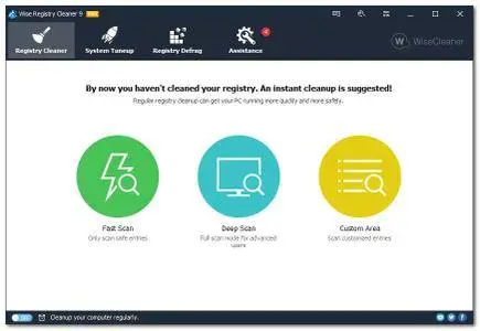 Wise Registry Cleaner Pro 9.55.625 Multilingual Portable