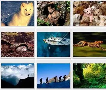 WebShots Collection. Part 9