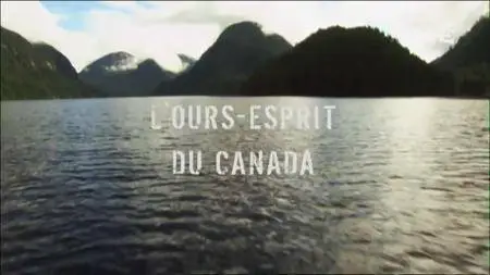 (Fr5) L'ours-esprit du Canada (2016)