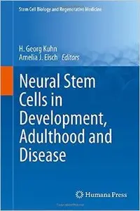 Neural Stem Cells in Development, Adulthood and Disease