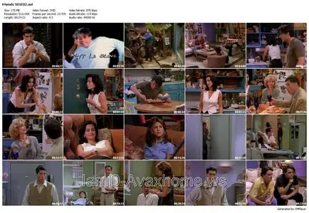 Friends - The Complete First Series (1994)