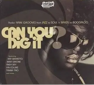 VA - Can You Dig It ? (2007)
